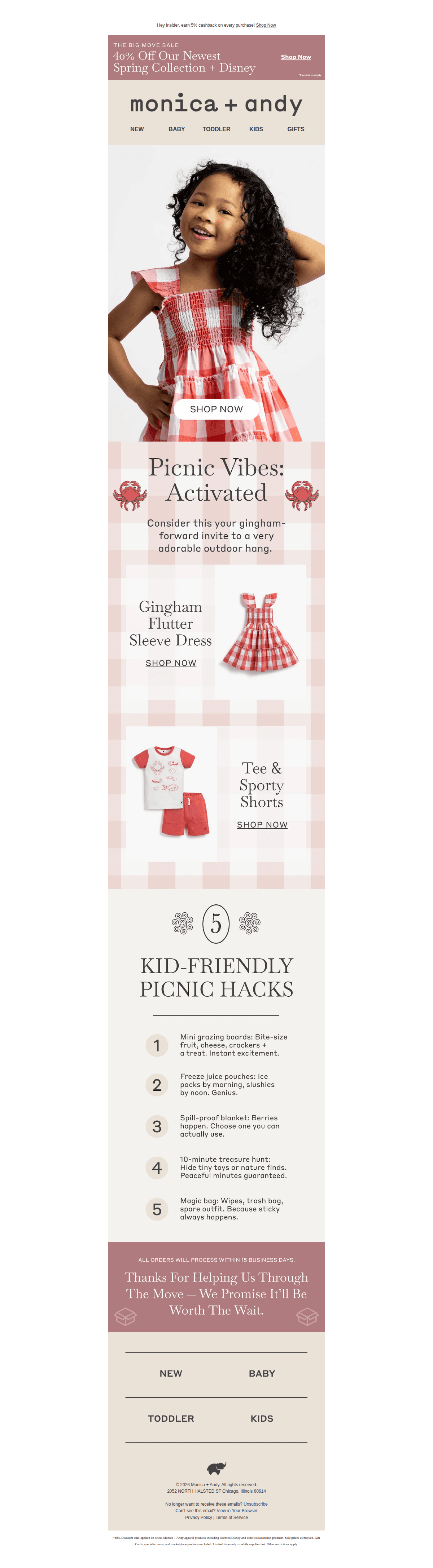 Gingham Made for Sunny Afternoons — desktop view